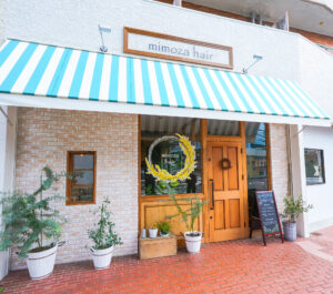 猛暑による頭髪ダメージを回復させる食材とは?